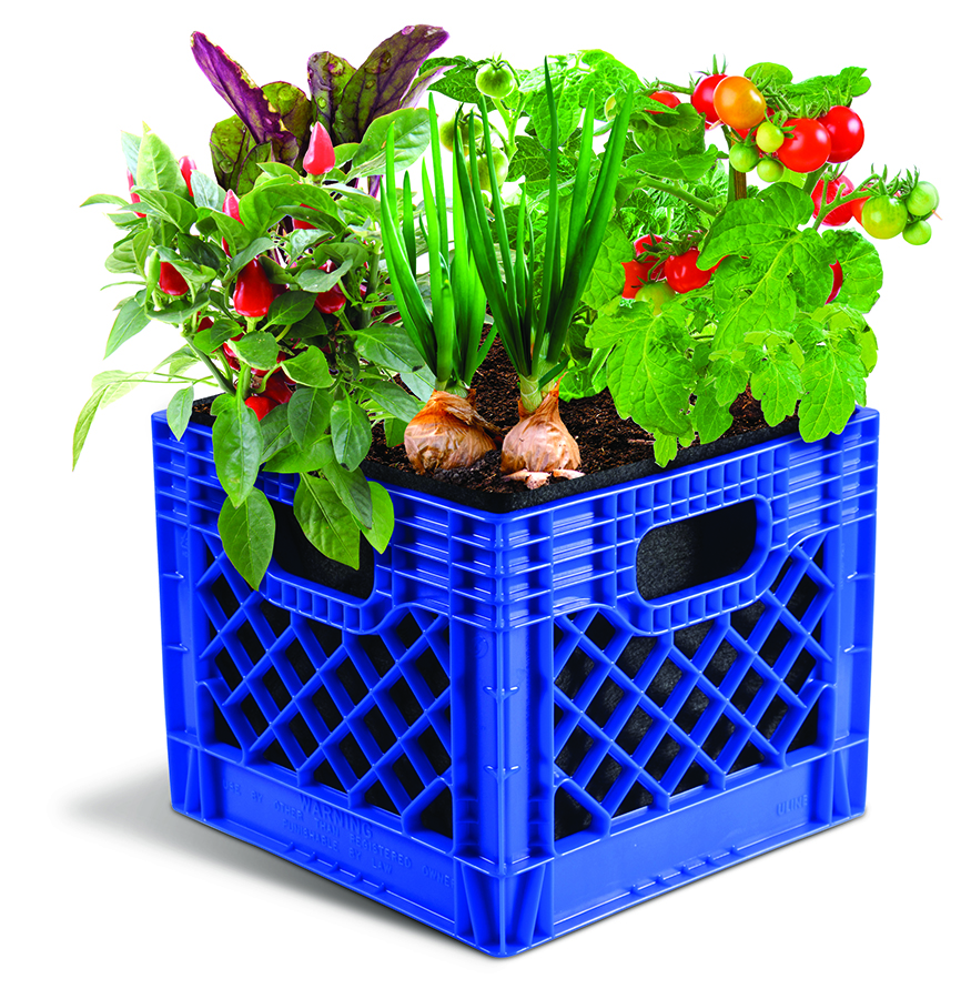 Turn a simple milk crate into an incredibly versatile, modern